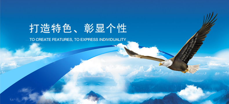 網(wǎng)站建設(shè)公司